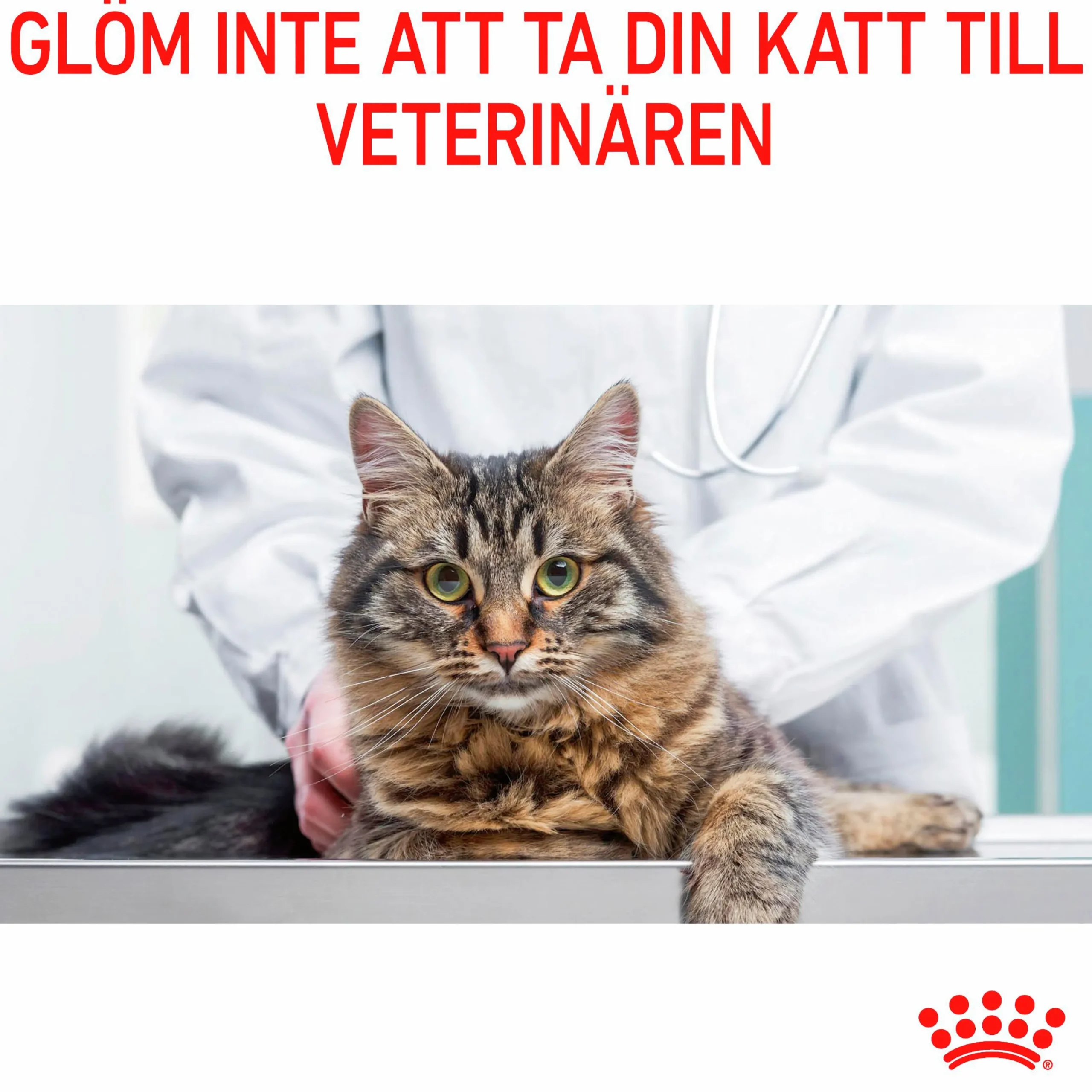 Kattmat Adult Hairball 2kg>Royal Canin New