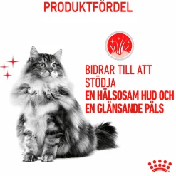 Kattmat Adult Hair & Skin Pouches Gravy Bitar i sås 12x85g>Royal Canin Discount