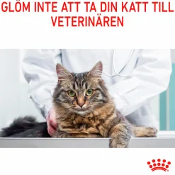 Kattmat Adult Light Weight Pouches Gravy Bitar i sås 12x85g><noscript><img width=