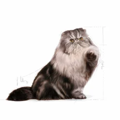 Kattmat Adult Persian 10kg><noscript><img width=