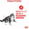 Kattmat Adult Urinary Care 2kg>Royal Canin Clearance