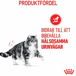 Kattmat Adult Urinary Care 2kg>Royal Canin Clearance