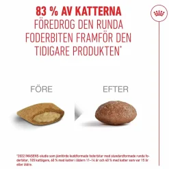 Kattmat Agening 15+ 2kg>Royal Canin Hot