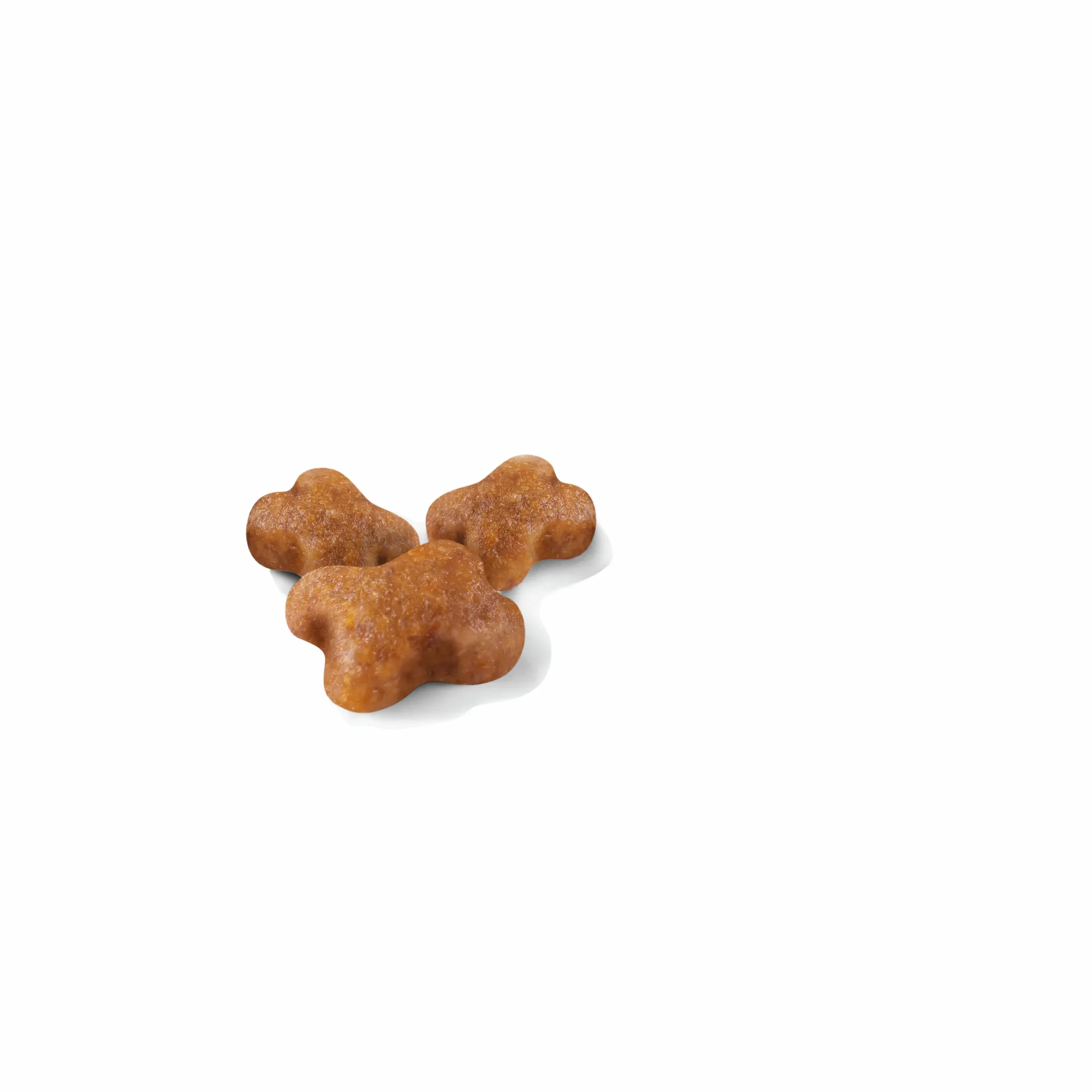 Kattmat Kitten 10kg>Royal Canin Outlet