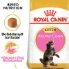 Kattmat Kitten Maine Coon 2kg>Royal Canin Online