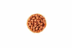 Kattmat Kitten Pouches Gravy Bitar i sås 12x85g>Royal Canin