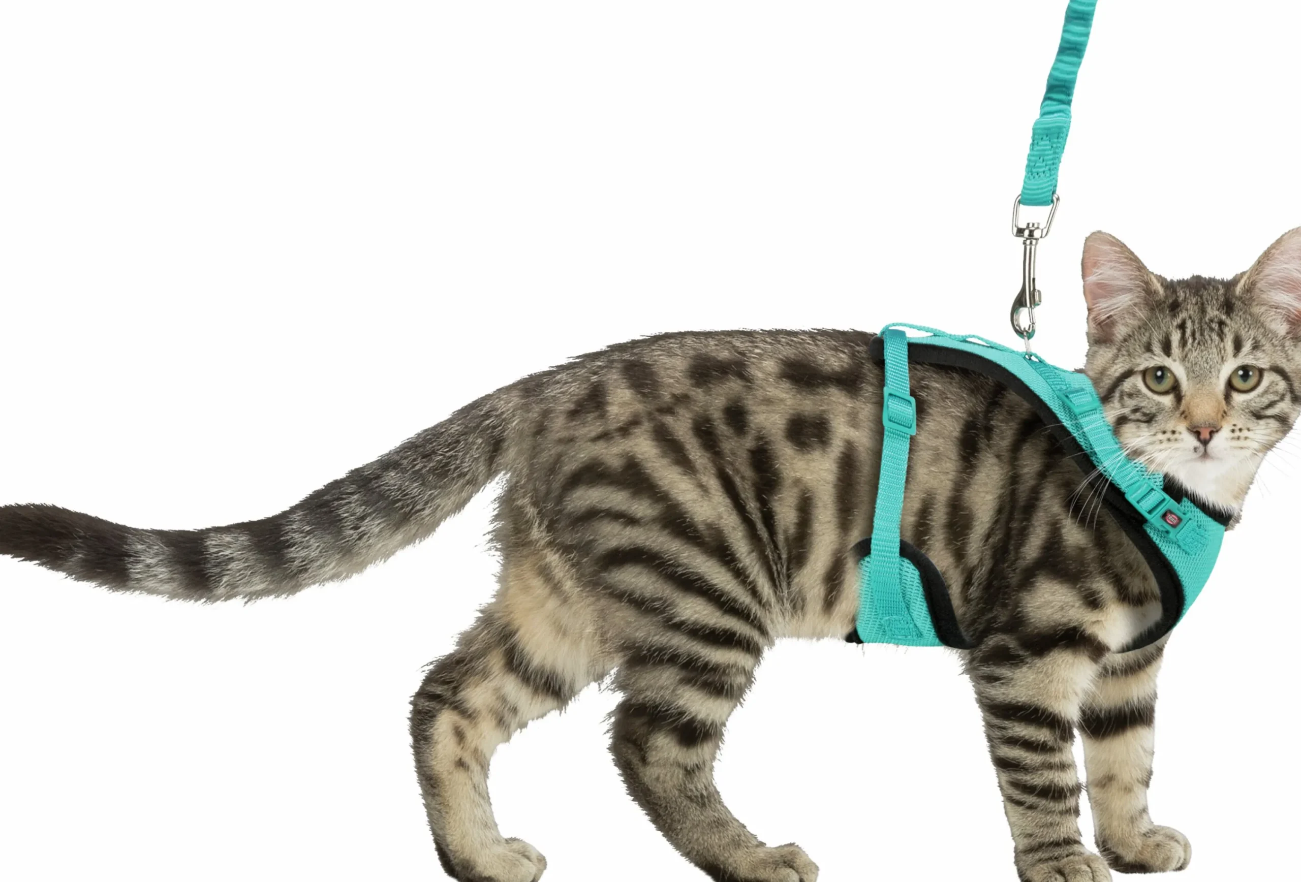 Kattsele Y-modell med koppel>Trixie Discount
