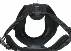 Kattsele Y-modell med koppel><noscript><img width=