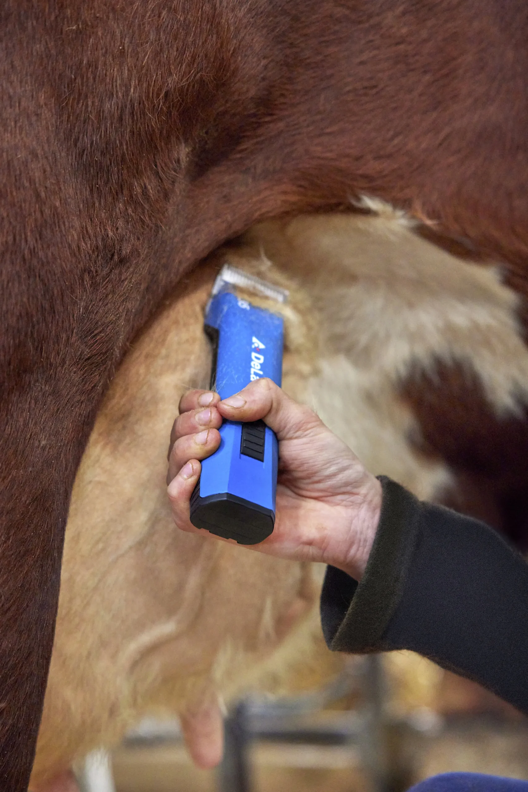 Klippmaskin CB35 häst/husdjur>DeLaval Best
