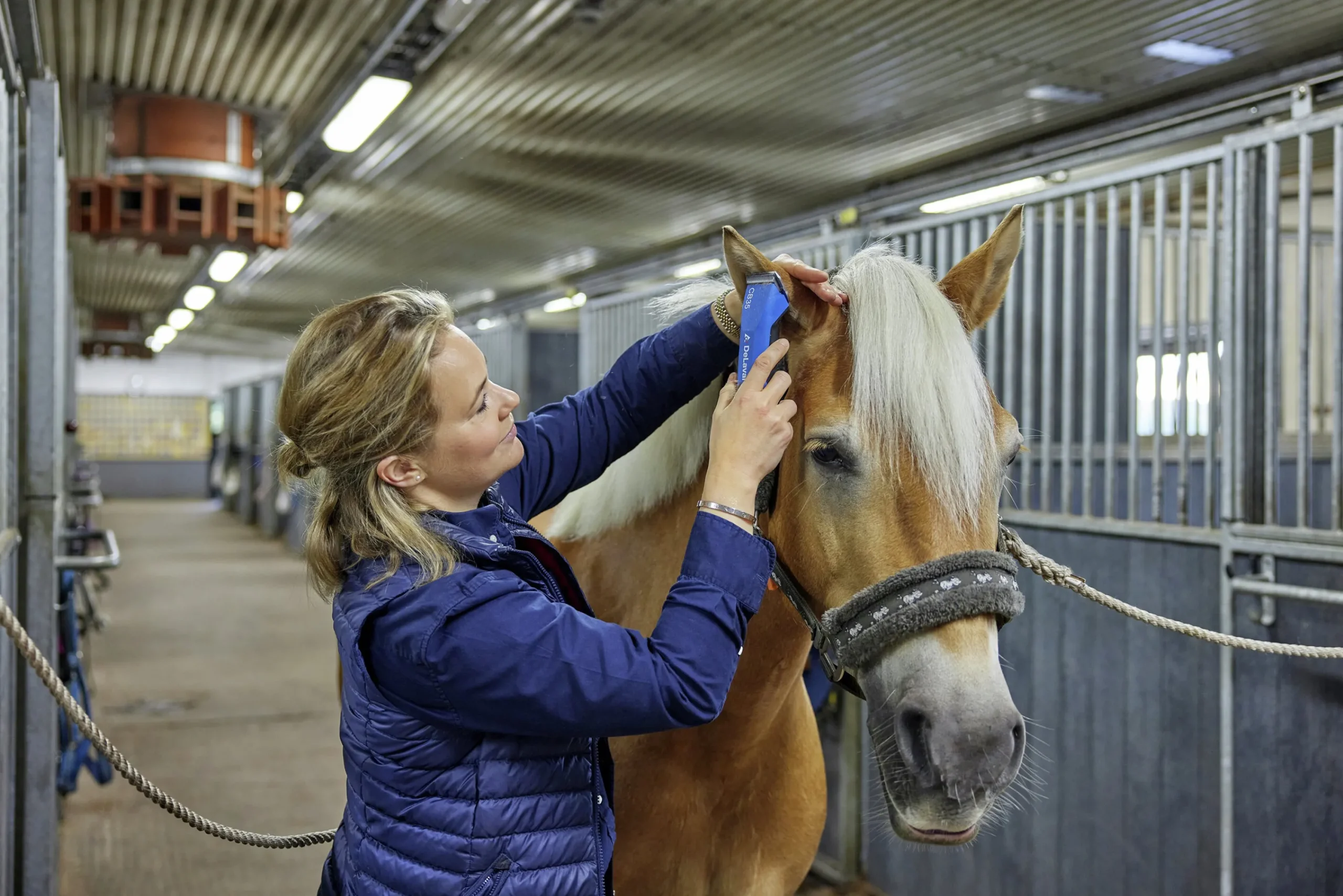Klippmaskin CB35 häst/husdjur>DeLaval Best