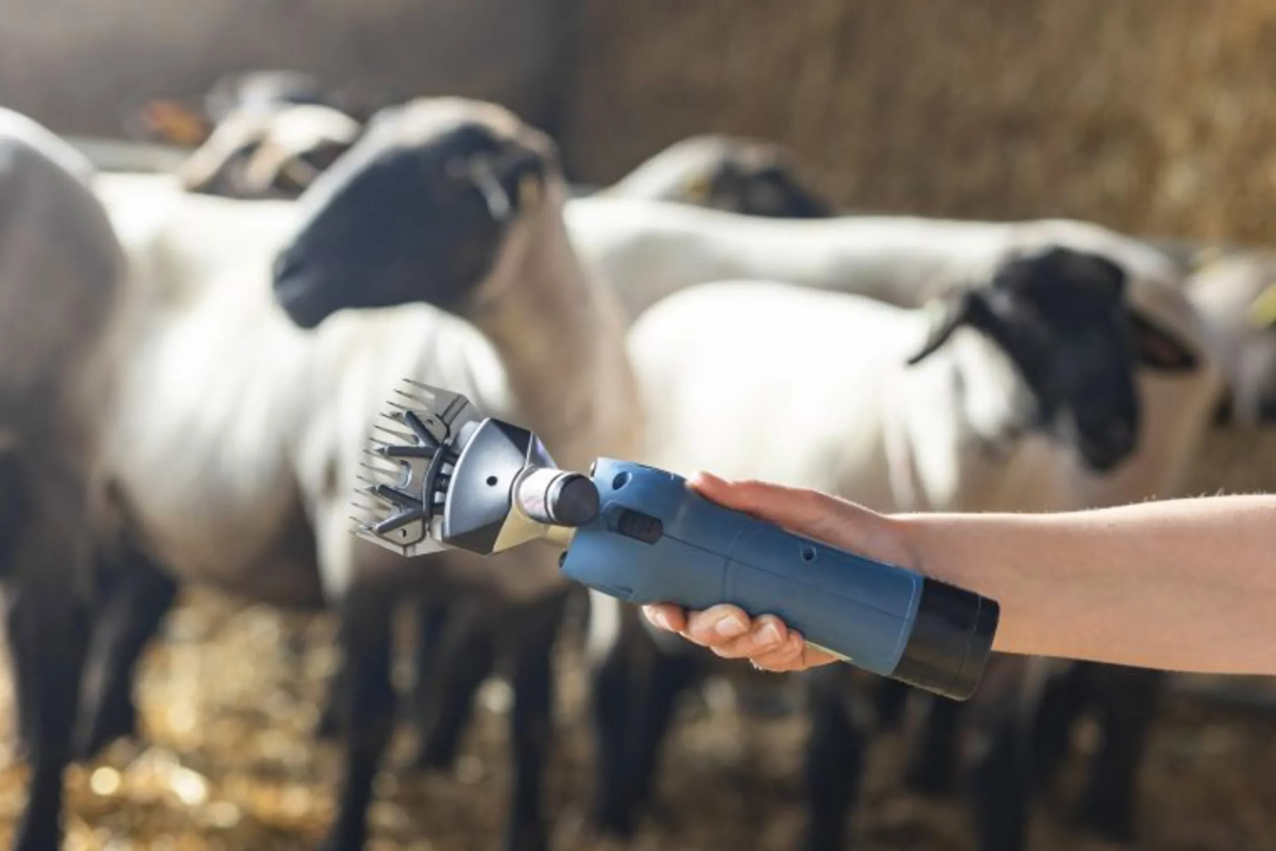 Klippmaskin Farmclipper Akku2 får med 2 batterier>Kerbl New