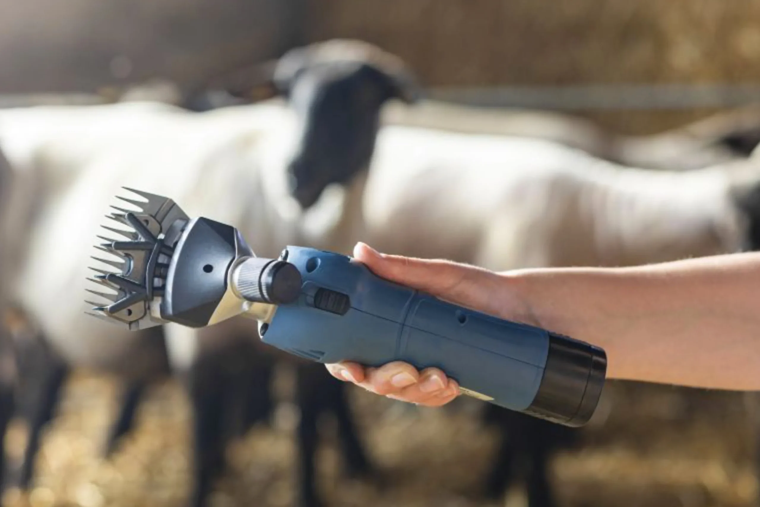 Klippmaskin Farmclipper Akku2 får med 2 batterier>Kerbl New