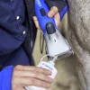 Klippmaskinsolja 100ml>DeLaval Sale