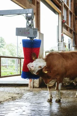 Koborste HappyCow Maxiswing>Kerbl Outlet