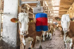 Koborste HappyCow Midiswing>Kerbl Clearance