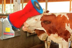 Koborste HappyCow Uno>Kerbl New