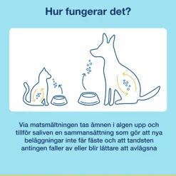 Kosttillskott PlaqueOff Pulver till katt 40g>ProDen PlaqueOff Sale