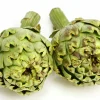 Kronärtskocka lat. Cynara cardunculus>Mäster Grön Hot