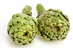 Kronärtskocka lat. Cynara cardunculus>Mäster Grön Hot