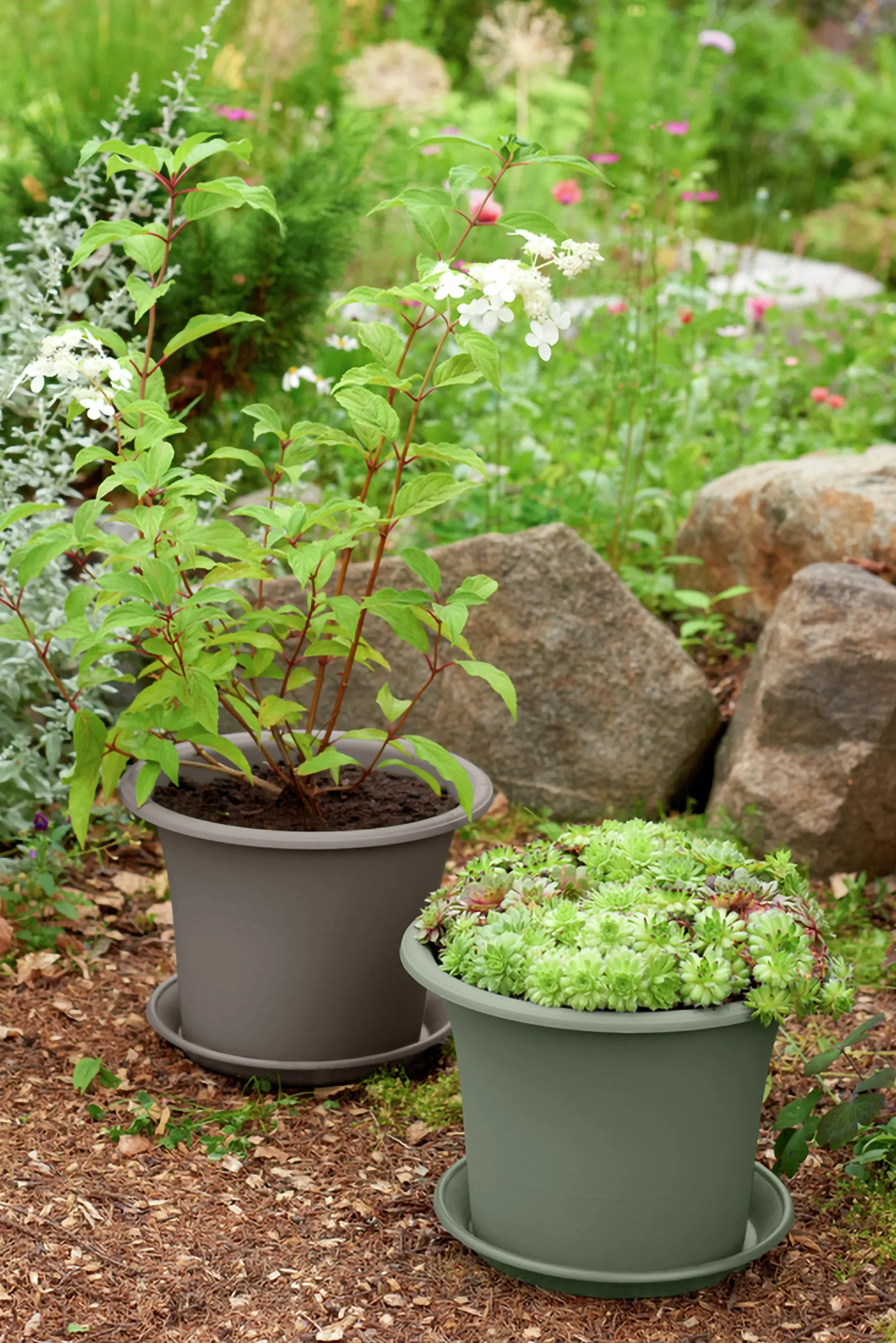 Kruka Botanica Återvunnen plast>Orthex Outlet