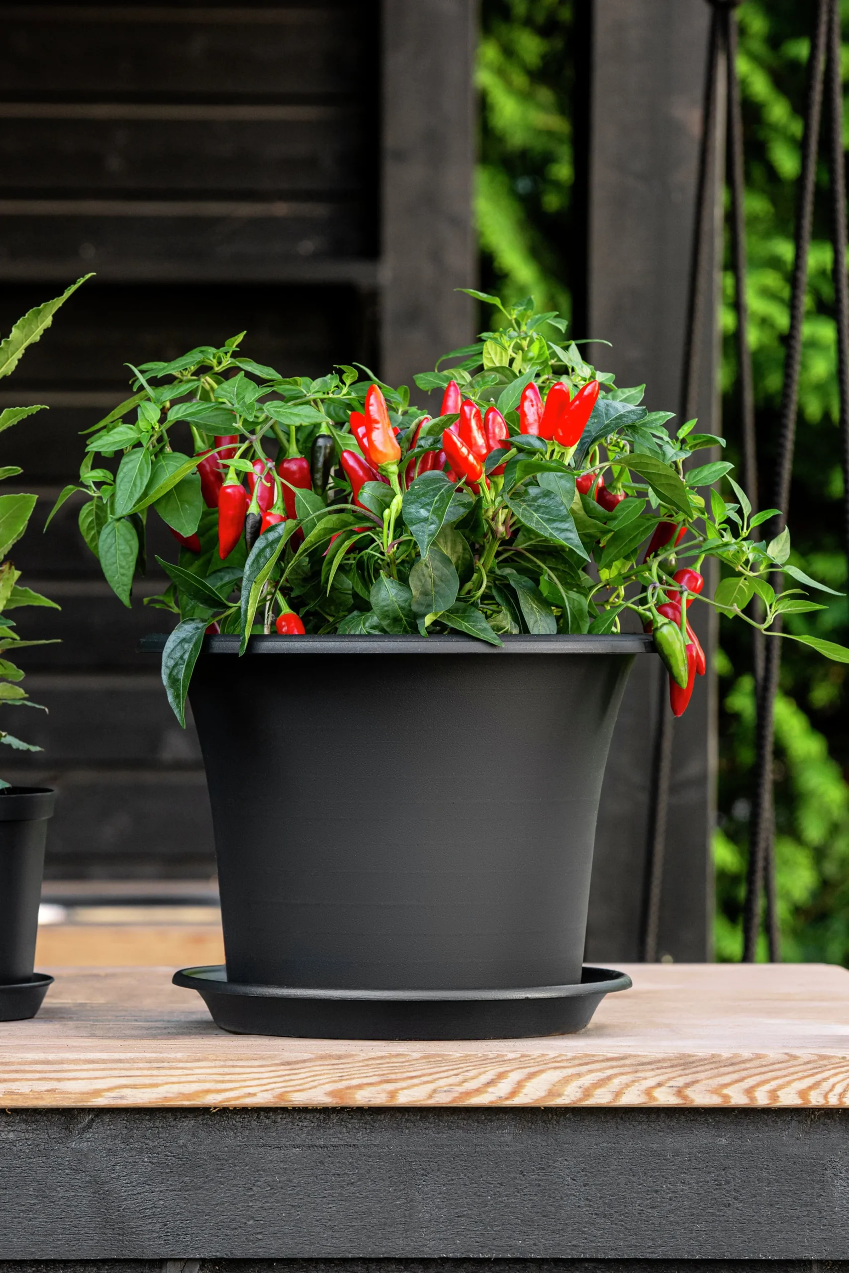 Kruka Botanica Återvunnen plast>Orthex Online