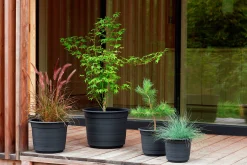 Kruka Epoque Återvunnen plast Svart Ø29cm 10L>Orthex Sale