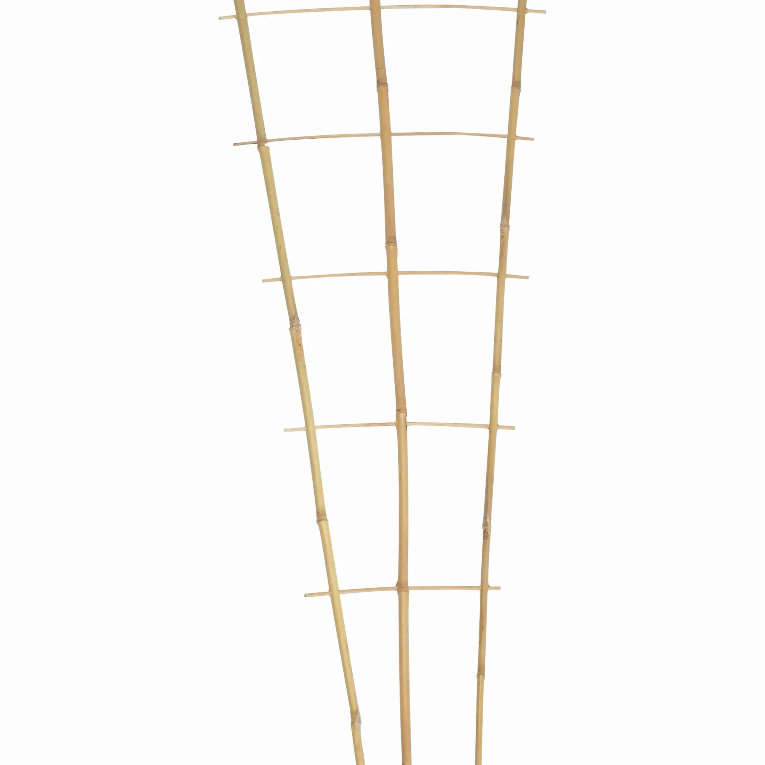 Krukspaljé Bambu 90cm>Nelson Garden Outlet