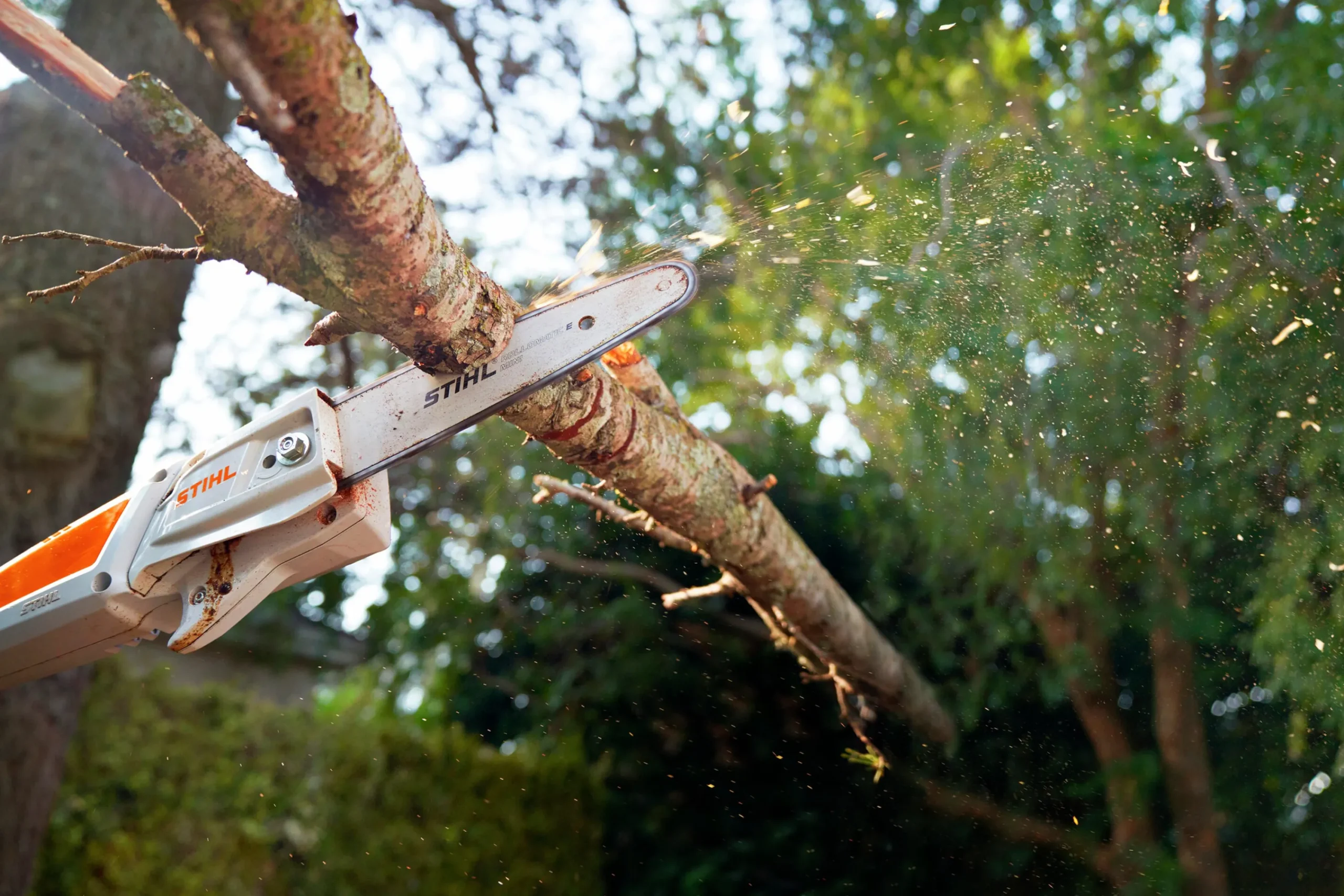 Kvistsåg HTA 50 36V (exkl. batteri)>Stihl