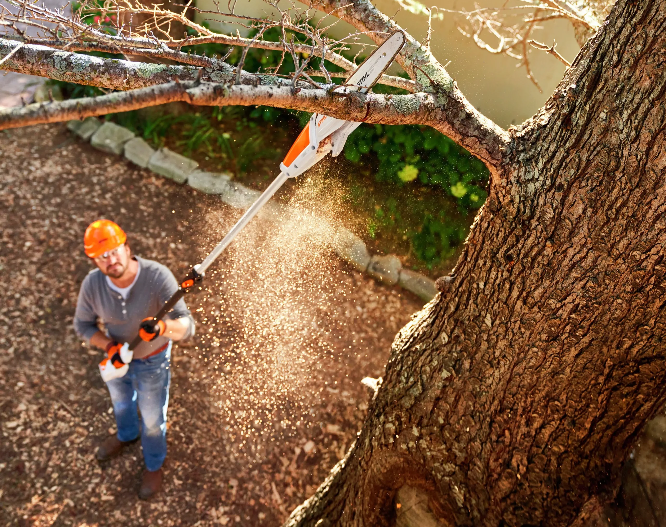 Kvistsåg HTA 50 36V (exkl. batteri)>Stihl