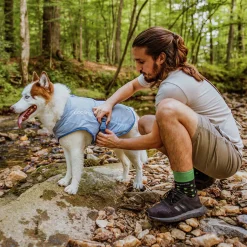 Kyvät Hund Core Grå><noscript><img width=
