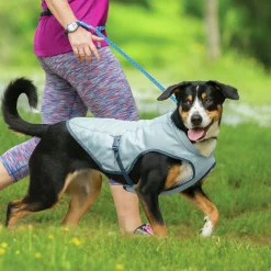 Kyvät Hund Core Grå><noscript><img width=