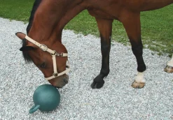 Lekboll med äppelsmak 25cm>Kerbl