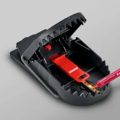 Lockmedel SuperCat Universal till mus- & råttfälla 2-p><noscript><img width=