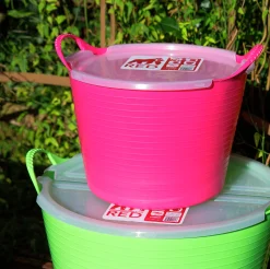 ock><noscript><img width=