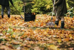 Lövräfsa Prima>Fiskars Online