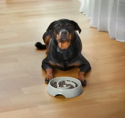 Matskål Alva Slow Feed>Dogman Outlet