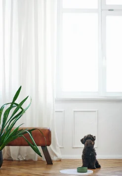 Matskål Keramik Osby>Hunter Discount