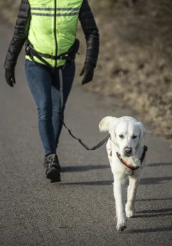 Midjebälte Emmi Svart>Dogman Hot