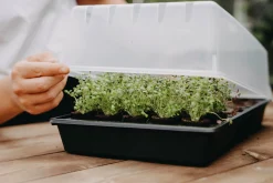Minidrivhus Air brätten plugg 24x38cm><noscript><img width=