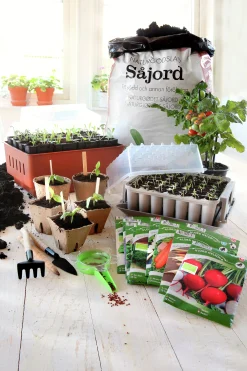 Minidrivhus Rootmaster Brun 19,5x29x21cm>Nelson Garden Outlet