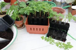 Minidrivhus Rootmaster Brun 19,5x29x21cm><noscript><img width=