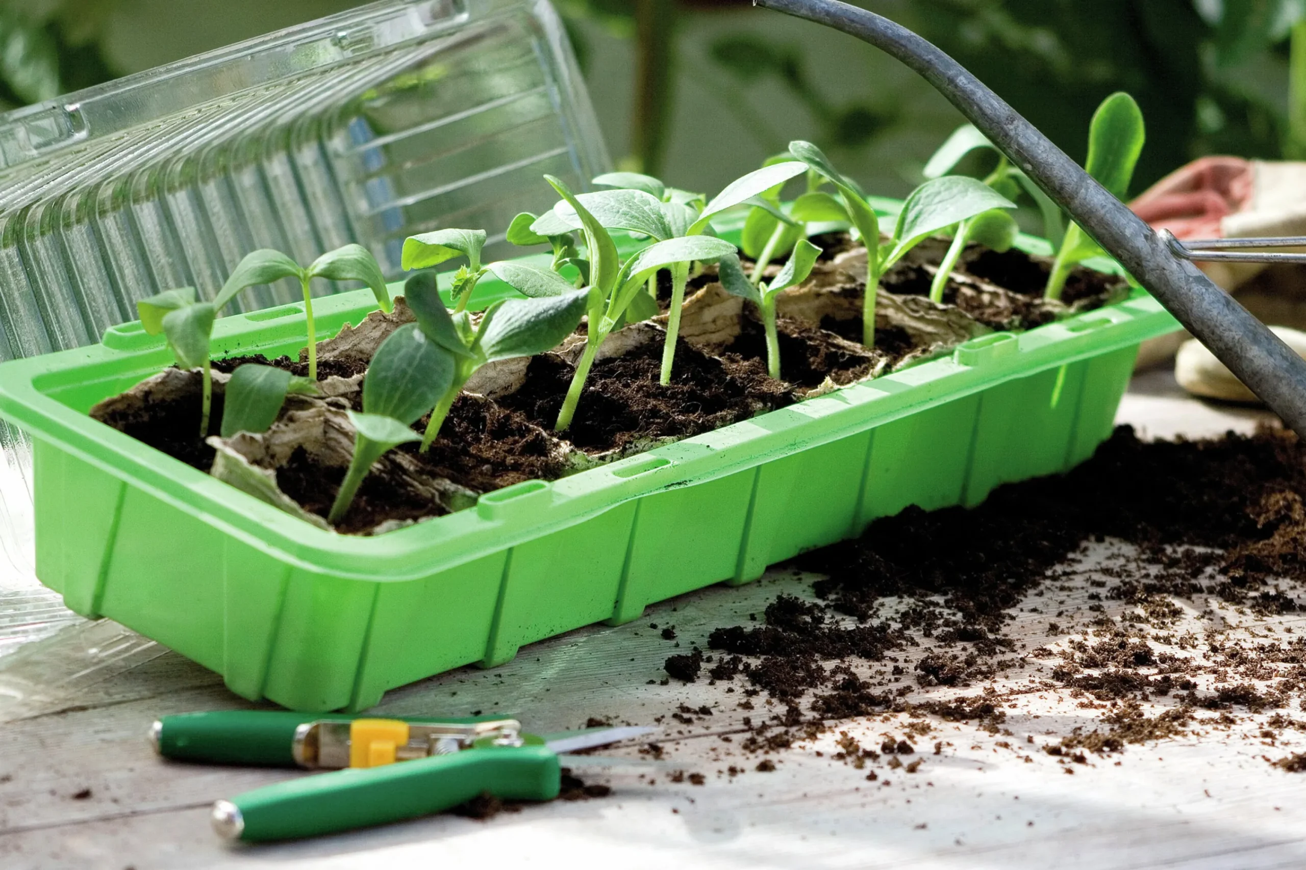 Minidrivhus Window Grön 47x16cm>Nelson Garden Hot