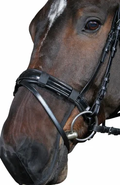 Mulskydd Svart Cob>Horseguard Best