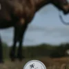 Multisalva 150ml>Fair Horse Care Hot