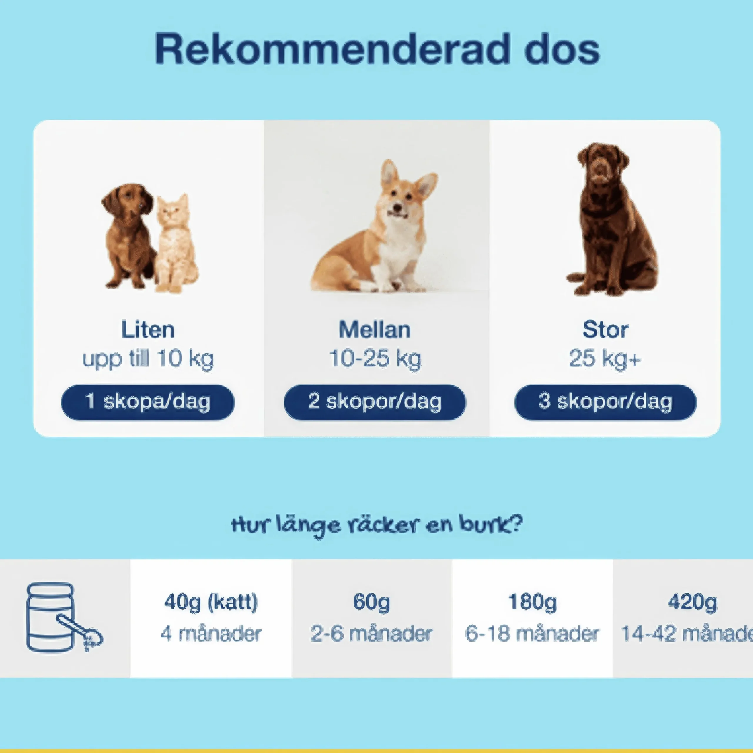 Munhygien PlaqueOff Pulver 60g>ProDen PlaqueOff Discount