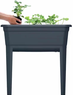 Odlingsbänk med lock Ecoline 36,8x74,6x77,7cm><noscript><img width=