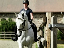 Paddock komplett med grind 20x48m>Octowood Discount