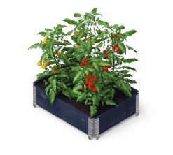 Pallkrage Svart 60x80cm Halvpallsformat><noscript><img width=