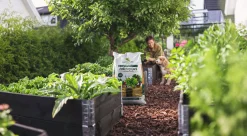 Pallkragejord Hasselfors Torvfri 40L>Hasselfors Garden Sale