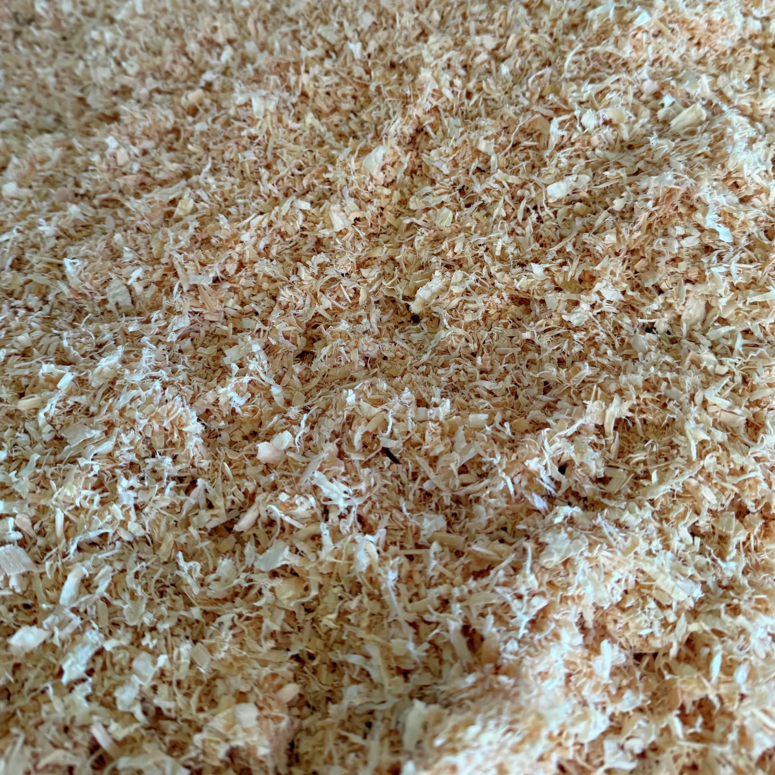 Perenner Mix i 13cm kruka>Danblumen Sale